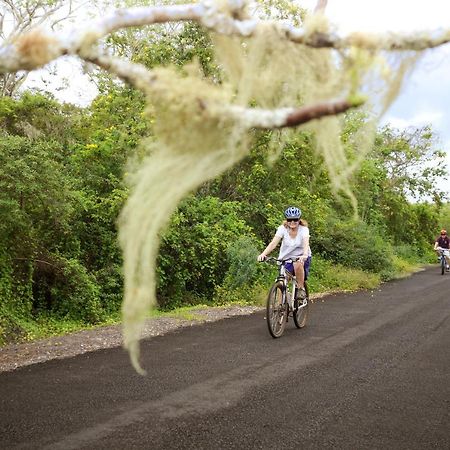 GALAPAGOS ISLANDS Galapagos Safari Campヴィラ エクステリア 写真