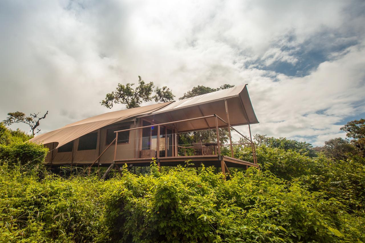 GALAPAGOS ISLANDS Galapagos Safari Campヴィラ エクステリア 写真